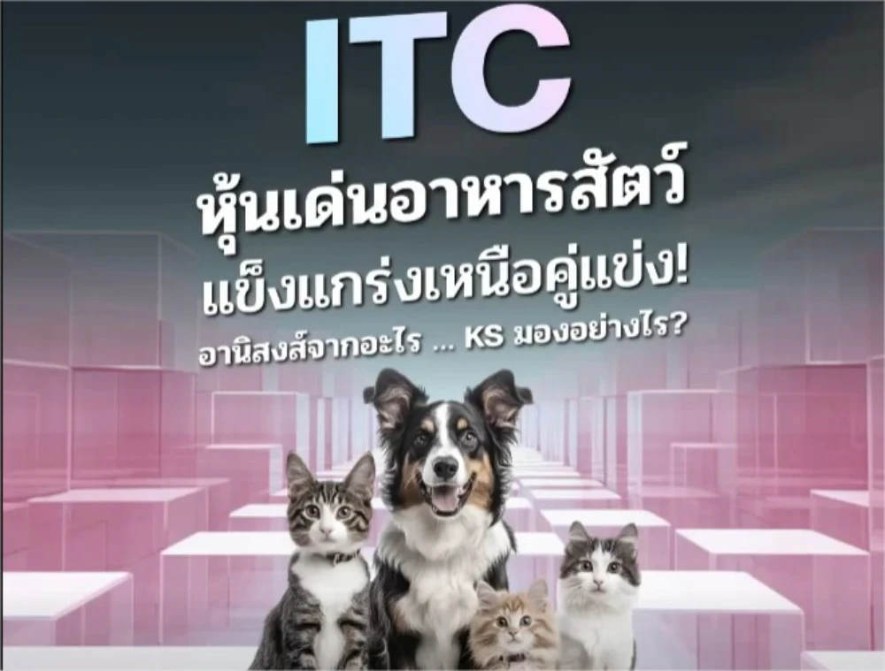 ITC หุ้นเด่นอาหารสัตว์ แข็งแกร่งเหนือคู่แข่ง! อานิสงค์จากอะไร...KS มองอย่างไร?