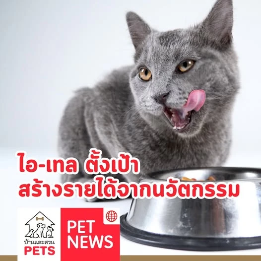 [Pet News] ไอ-เทล ประกาศ Innovation Strategy 2026 ตั้งเป้าสร้างรายได้จากนวัตกรรม ร้อยละ 15 ภายในปี 2569 ตอกย้ำการเป็นผู้นำอุตสาหกรรมอาหารสัตว์เลี้ยงของโลก