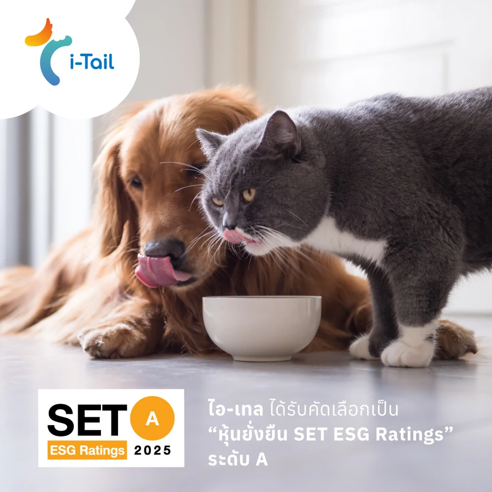 ไอ-เทล ได้รับคัดเลือก “หุ้นยั่งยืน SET ESG Ratings” ระดับ A จาก ตลท. สะท้อนความมุ่งมั่นในการขับเคลื่อนความยั่งยืนในอุตสาหกรรมอาหารสัตว์เลี้ยง